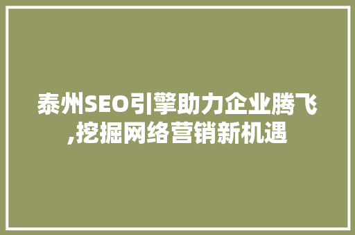 泰州SEO引擎助力企业腾飞,挖掘网络营销新机遇
