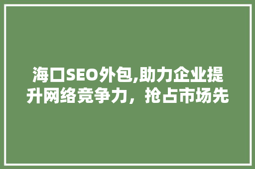 海口SEO外包,助力企业提升网络竞争力，抢占市场先机 电脑故障维修