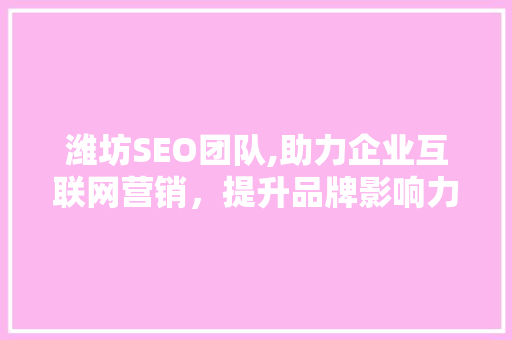 潍坊SEO团队,助力企业互联网营销，提升品牌影响力