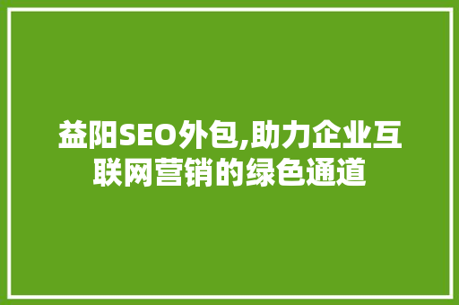 益阳SEO外包,助力企业互联网营销的绿色通道