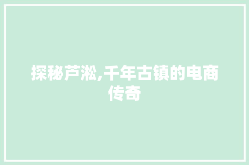 探秘芦淞,千年古镇的电商传奇