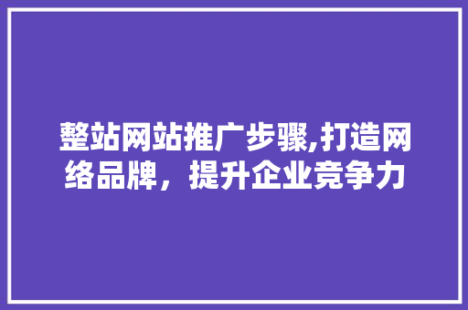 整站网站推广步骤,打造网络品牌，提升企业竞争力