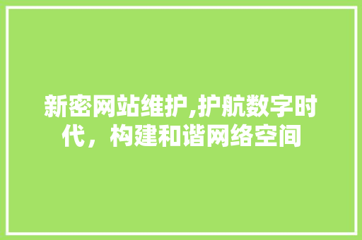 新密网站维护,护航数字时代，构建和谐网络空间