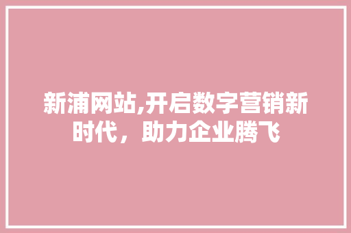 新浦网站,开启数字营销新时代，助力企业腾飞