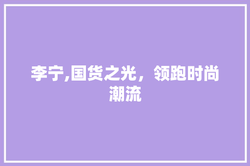 李宁,国货之光，领跑时尚潮流