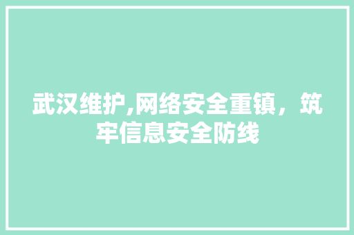 武汉维护,网络安全重镇，筑牢信息安全防线