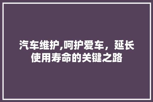 汽车维护,呵护爱车，延长使用寿命的关键之路