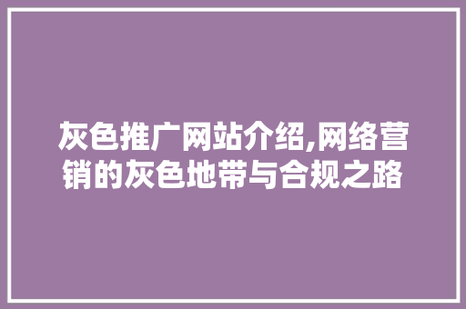 灰色推广网站介绍,网络营销的灰色地带与合规之路