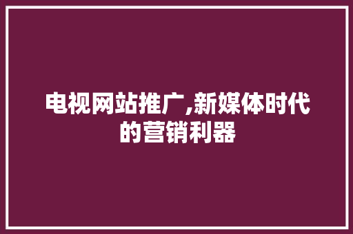电视网站推广,新媒体时代的营销利器