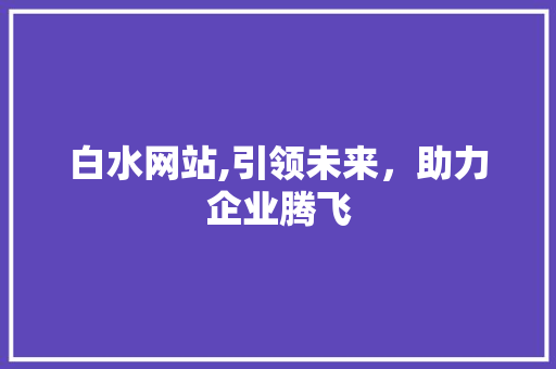 白水网站,引领未来，助力企业腾飞
