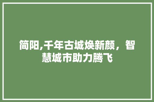 简阳,千年古城焕新颜，智慧城市助力腾飞