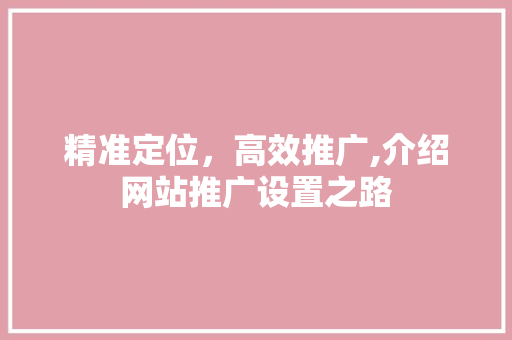 精准定位，高效推广,介绍网站推广设置之路