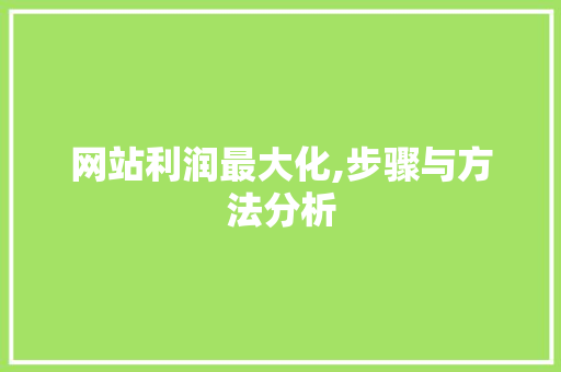 网站利润最大化,步骤与方法分析