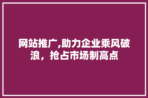 网站推广,助力企业乘风破浪，抢占市场制高点
