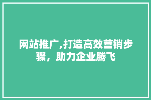 网站推广,打造高效营销步骤，助力企业腾飞