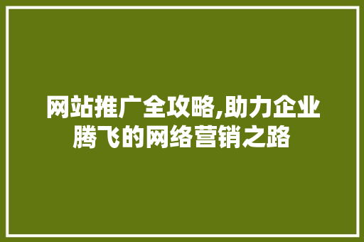 网站推广全攻略,助力企业腾飞的网络营销之路
