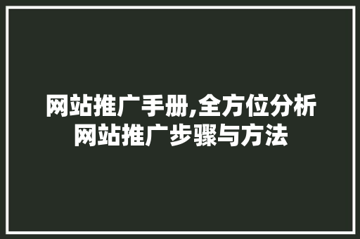 网站推广手册,全方位分析网站推广步骤与方法