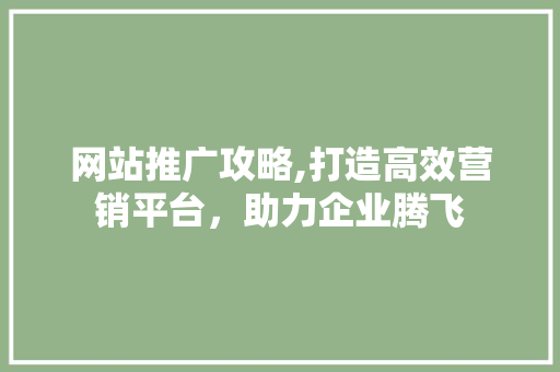 网站推广攻略,打造高效营销平台，助力企业腾飞