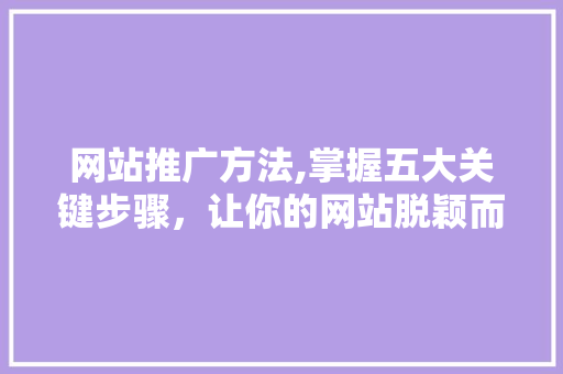 网站推广方法,掌握五大关键步骤，让你的网站脱颖而出