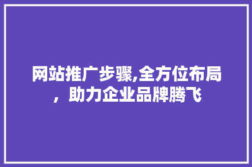 网站推广步骤,全方位布局，助力企业品牌腾飞