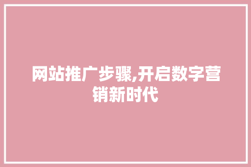 网站推广步骤,开启数字营销新时代