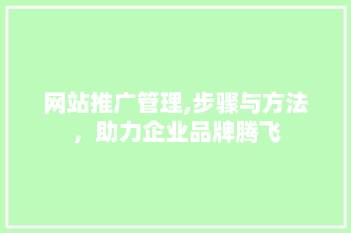网站推广管理,步骤与方法,助力企业品牌腾飞 操作系统 网站推广管理,步骤与方法,助力企业品牌腾飞 操作系统