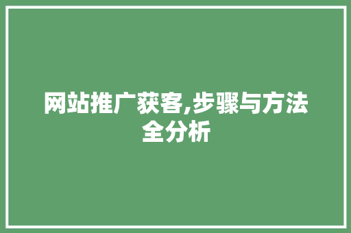 网站推广获客,步骤与方法全分析 电脑配置