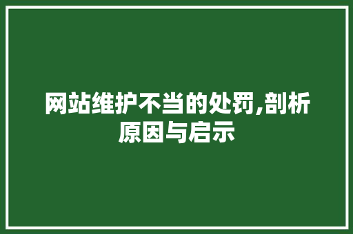 网站维护不当的处罚,剖析原因与启示
