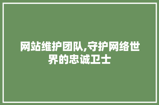 网站维护团队,守护网络世界的忠诚卫士
