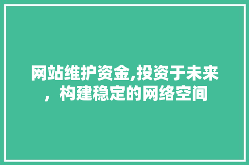 网站维护资金,投资于未来，构建稳定的网络空间