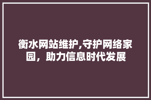 衡水网站维护,守护网络家园，助力信息时代发展