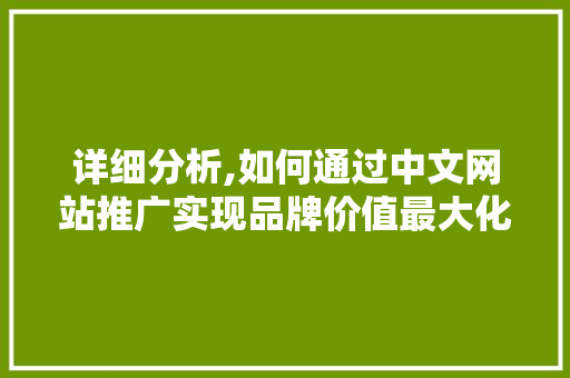 详细分析,如何通过中文网站推广实现品牌价值最大化 电脑故障维修