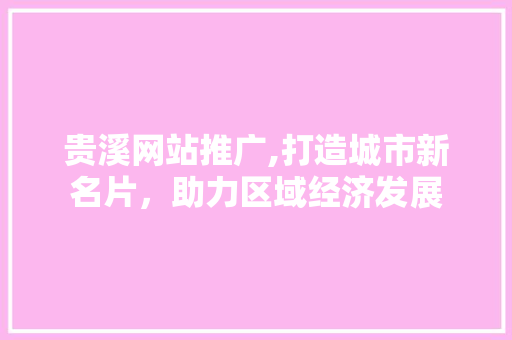 贵溪网站推广,打造城市新名片，助力区域经济发展