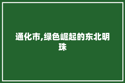 通化市,绿色崛起的东北明珠