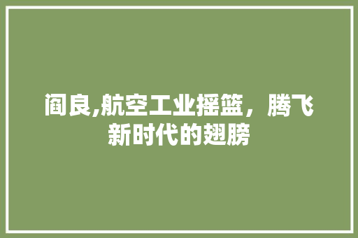 阎良,航空工业摇篮,腾飞新时代的翅膀 阎良,航空工业摇篮,腾飞新时代的翅膀