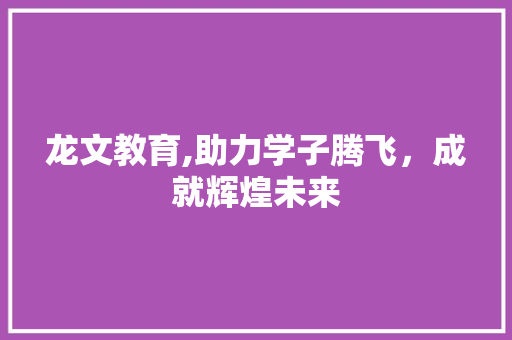 龙文教育,助力学子腾飞，成就辉煌未来