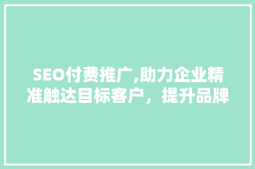 SEO付费推广,助力企业精准触达目标客户，提升品牌影响力