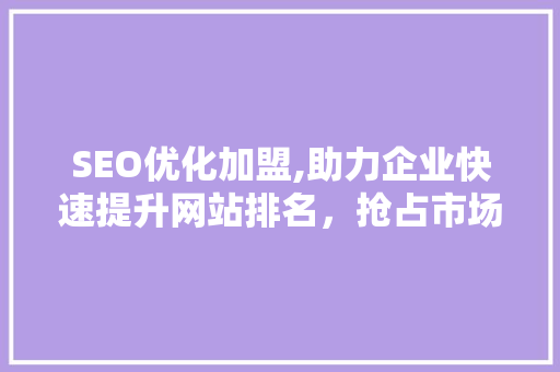 SEO优化加盟,助力企业快速提升网站排名，抢占市场先机