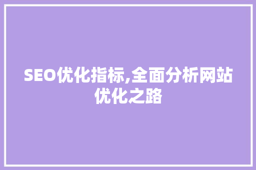 SEO优化指标,全面分析网站优化之路