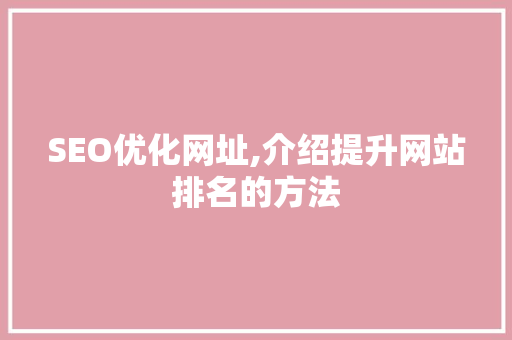 SEO优化网址,介绍提升网站排名的方法