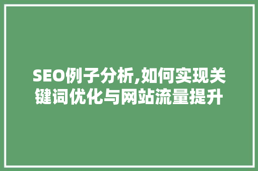 SEO例子分析,如何实现关键词优化与网站流量提升