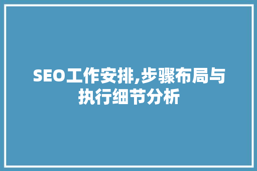 SEO工作安排,步骤布局与执行细节分析 电脑基础 SEO工作安排,步骤布局与执行细节分析 电脑基础