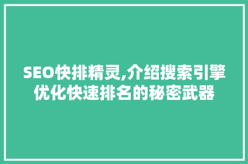 SEO快排精灵,介绍搜索引擎优化快速排名的秘密武器