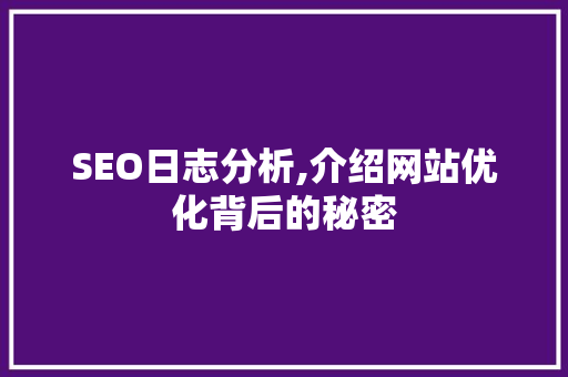 SEO日志分析,介绍网站优化背后的秘密