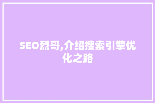 SEO烈哥,介绍搜索引擎优化之路