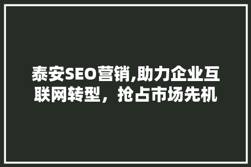 泰安SEO营销,助力企业互联网转型，抢占市场先机