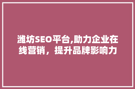 潍坊SEO平台,助力企业在线营销，提升品牌影响力