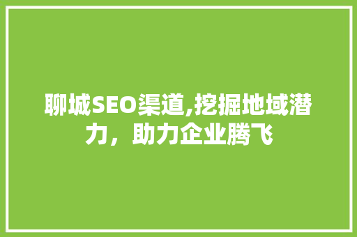 聊城SEO渠道,挖掘地域潜力，助力企业腾飞
