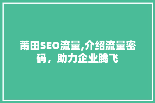 莆田SEO流量,介绍流量密码，助力企业腾飞