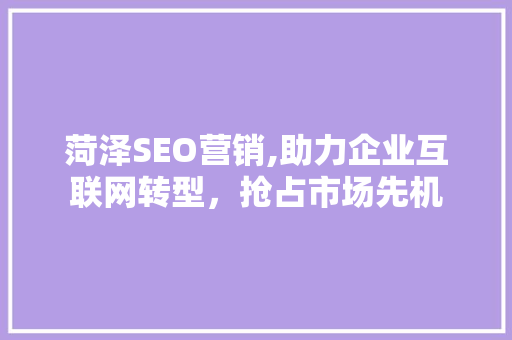 菏泽SEO营销,助力企业互联网转型，抢占市场先机